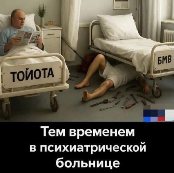 Мем, Jonas