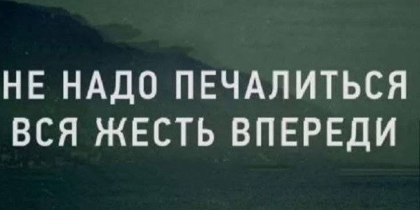 Мем, Diogenes