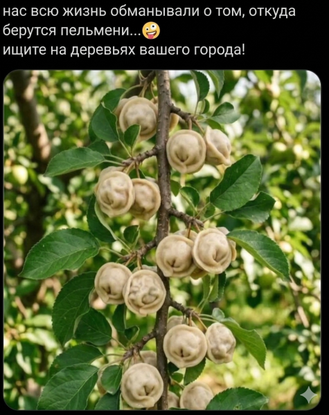 Мем: Пельменное дерево Виктора Перестукина, 1andreymx