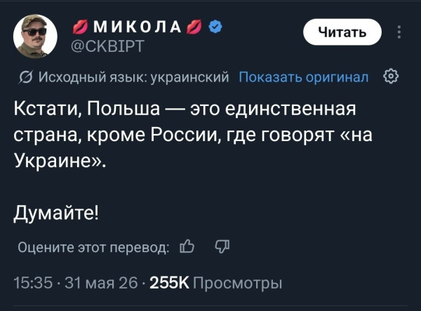 Мем: Пiдозра!, Юрий Небольсин