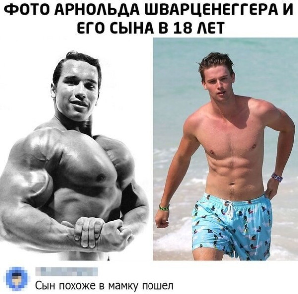 Мем: Сын Шварценеггера, RusLan2025