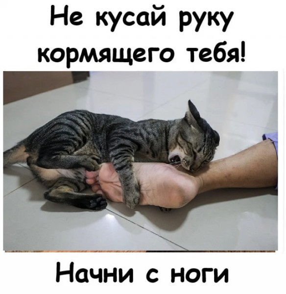 Мем, Mghost Мем, Mghost
