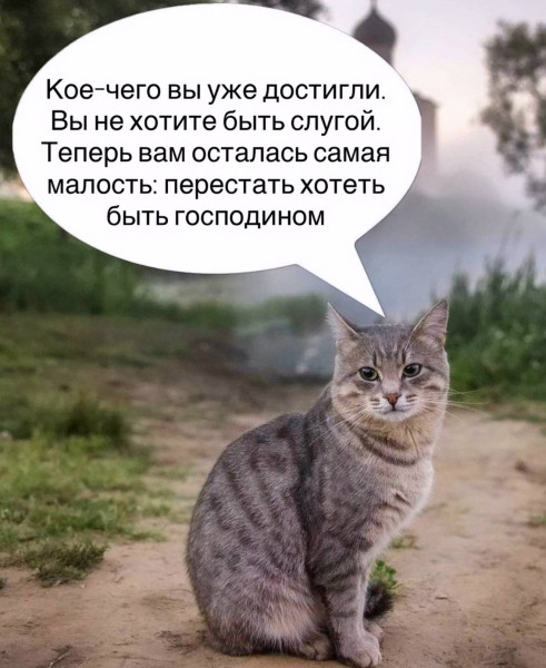 Мем, Diogenes Мем, Diogenes