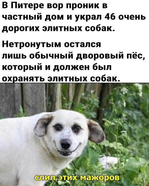 Мем, Mghost