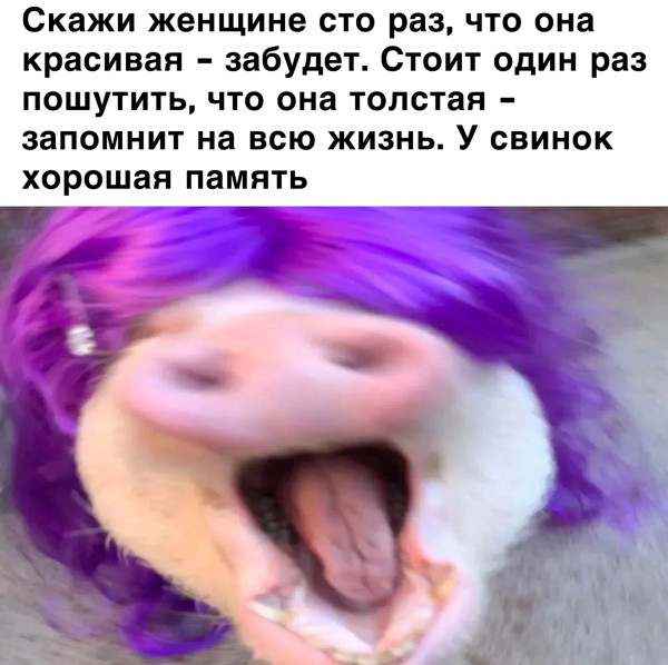 Мем, Кот Отморозкин Мем, Кот Отморозкин