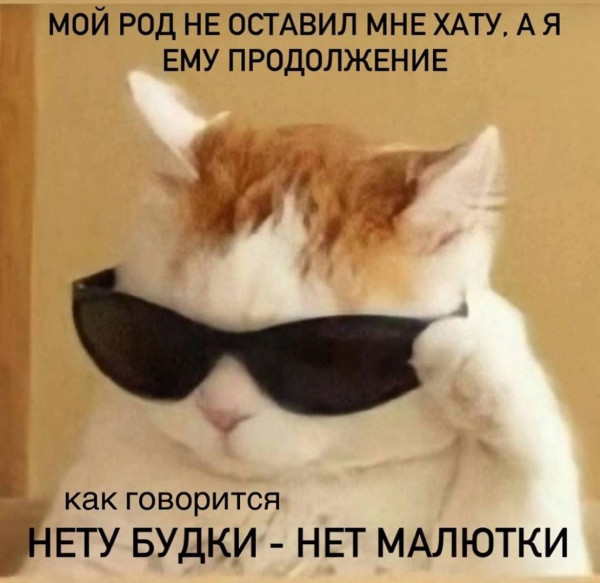 Мем, FDio Мем, FDio
