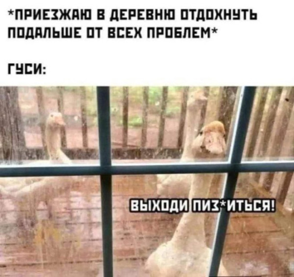 Мем, Смехалка
