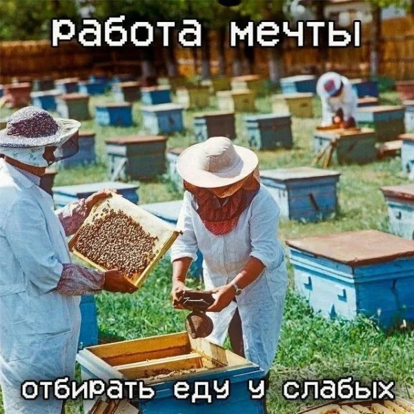 Мем, Bassplayer