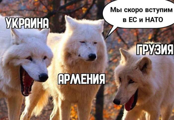 Мем, FDio