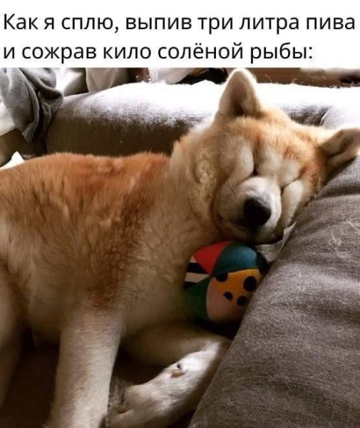 Мем, Ashmedai