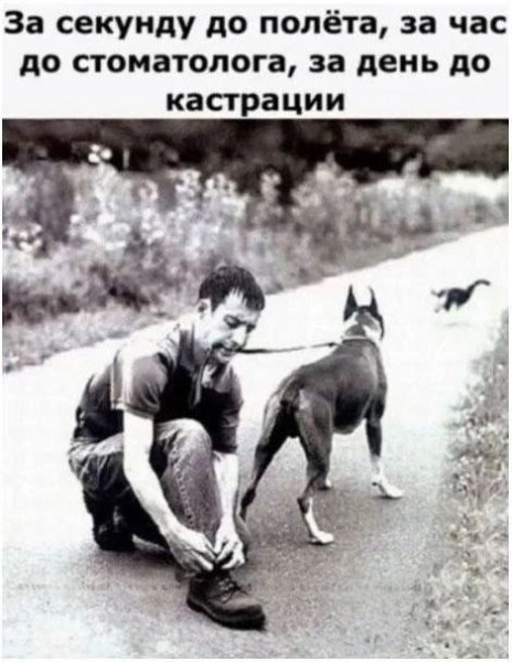 Мем, Смехалка Мем, Смехалка
