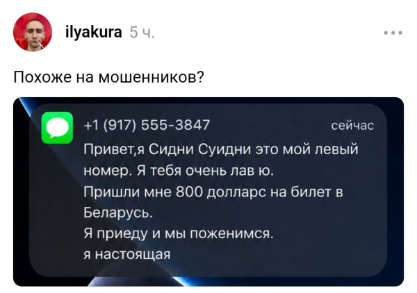Мем, Bassplayer Мем, Bassplayer
