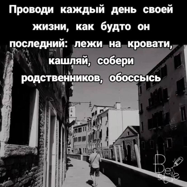 Мем, FDio Мем, FDio