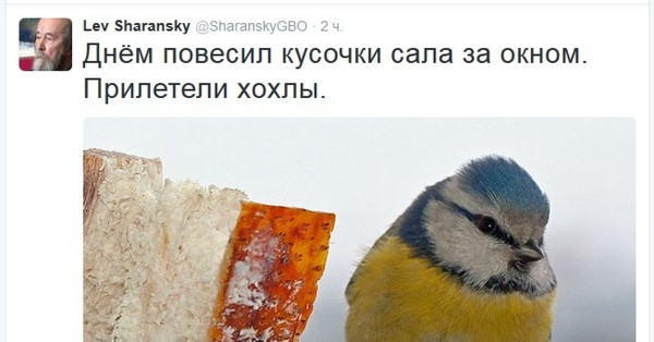 Мем: Днём повесил сало, прилетели хохлы Мем: Днём повесил сало, прилетели хохлы