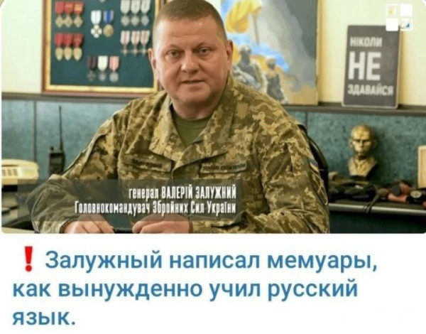 Мем: Под дулом кулемёта!, Юрий Небольсин