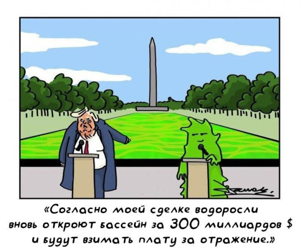 Мем, mikololo