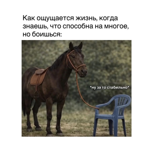 Мем, Bassplayer Мем, Bassplayer