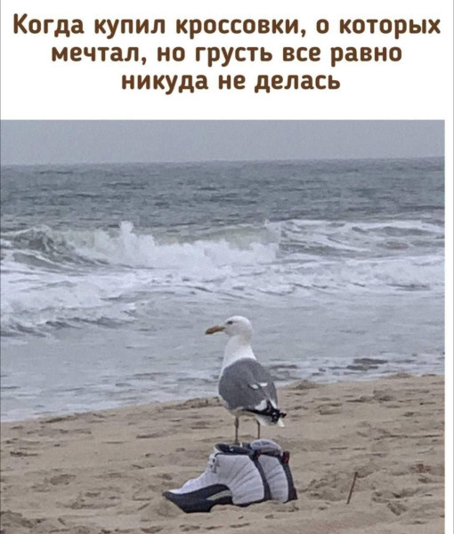 Мем, Ashmedai Мем, Ashmedai