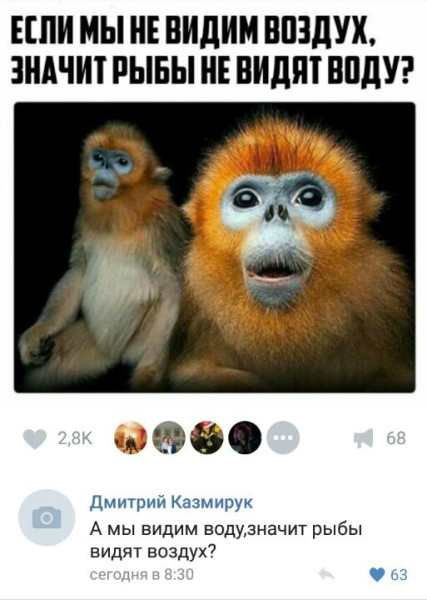 Мем, Кот Отморозкин Мем, Кот Отморозкин