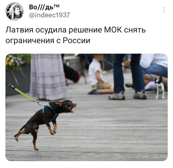 Мем, Mghost Мем, Mghost