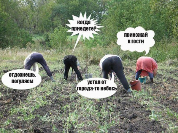 Мем, Антиклептократ