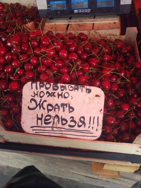 Мем, Антиклептократ