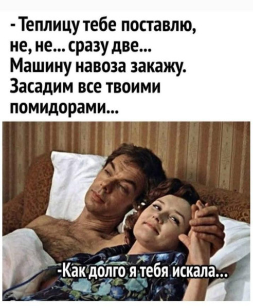 Мем, Антиклептократ
