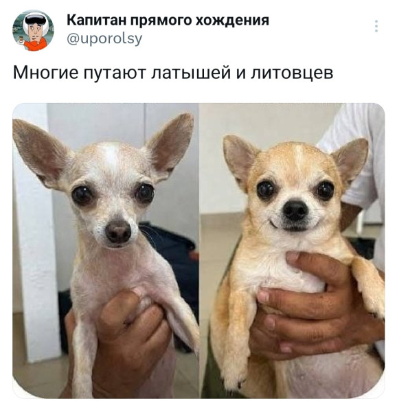 Мем, Mghost Мем, Mghost