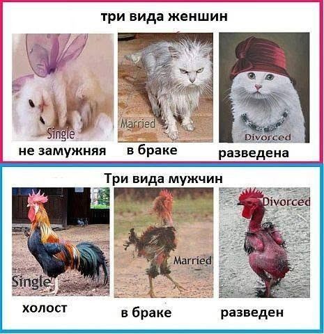 Мем Мем
