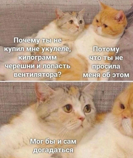 Мем, Антиклептократ Мем, Антиклептократ