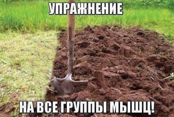 Мем, Антиклептократ Мем, Антиклептократ