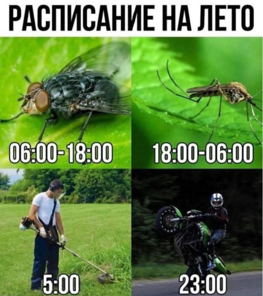 Мем, Антиклептократ Мем, Антиклептократ