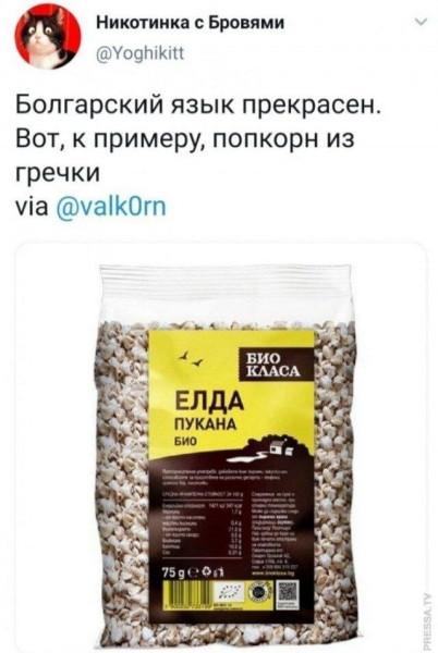 Мем, Ashmedai Мем, Ashmedai
