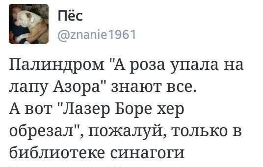 Мем, Ashmedai Мем, Ashmedai