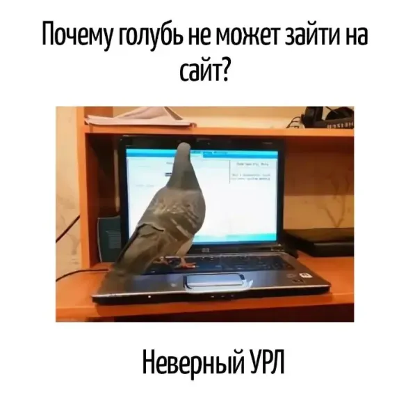 Мем, Bassplayer Мем, Bassplayer