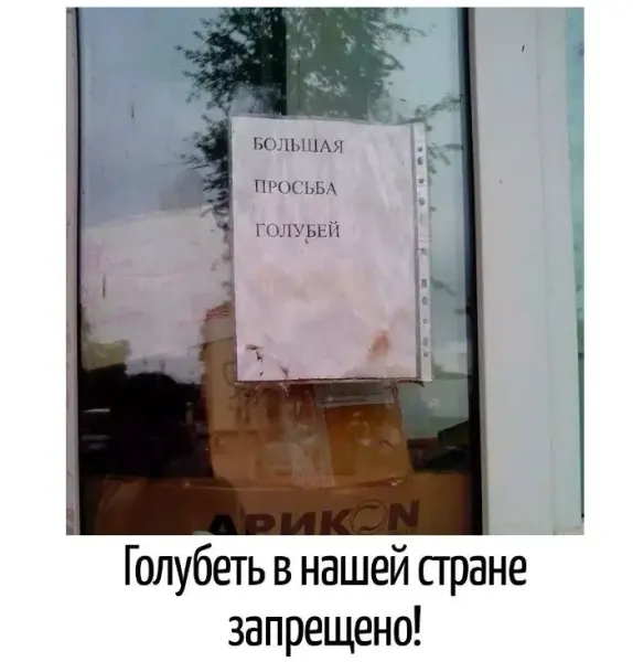 Мем, Bassplayer Мем, Bassplayer