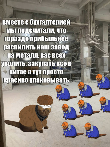 Мем, FDio Мем, FDio