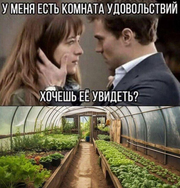 Мем, Антиклептократ Мем, Антиклептократ
