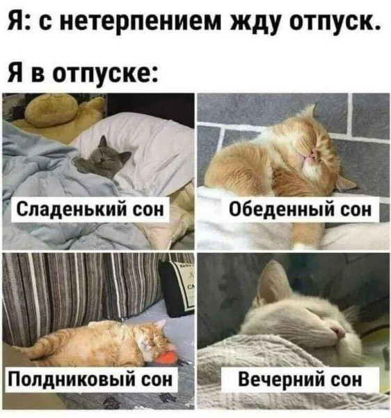 Мем, Антиклептократ Мем, Антиклептократ