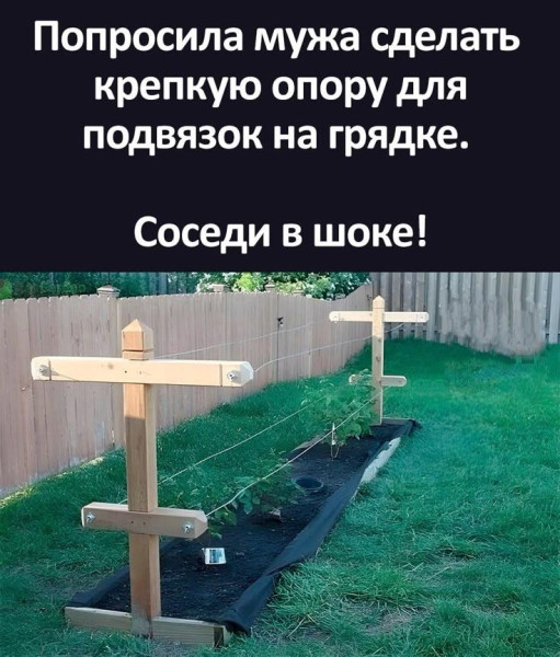 Мем, Антиклептократ Мем, Антиклептократ