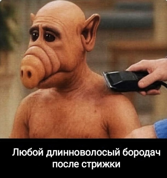 Мем, Рысь Мем, Рысь