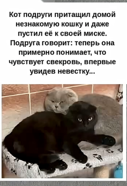 Мем, hop za za Мем, hop za za