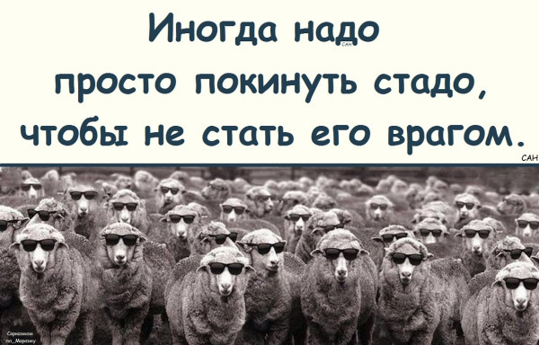 Мем, Александр САН Мем, Александр САН
