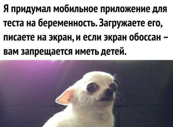 Мем, Ashmedai Мем, Ashmedai