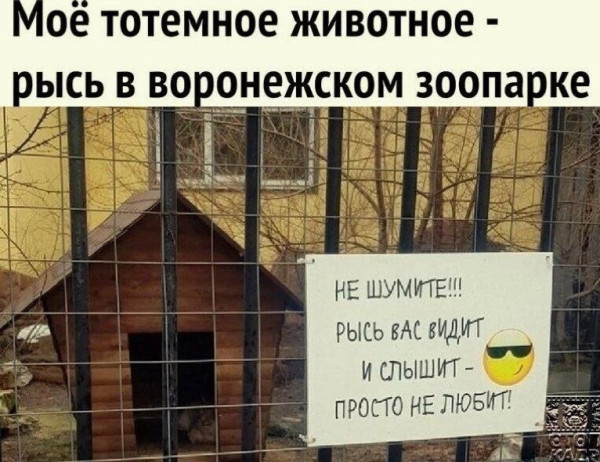 Мем, Mghost Мем, Mghost