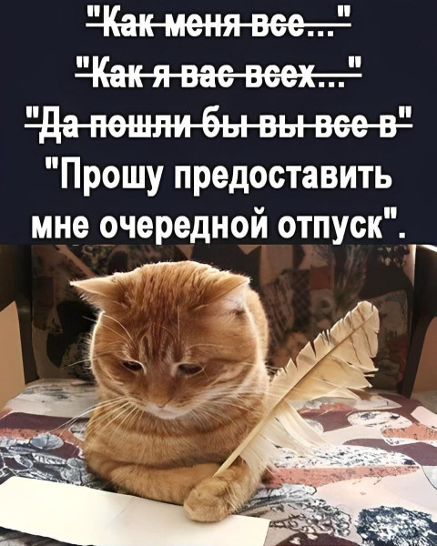 Мем, Антиклептократ Мем, Антиклептократ