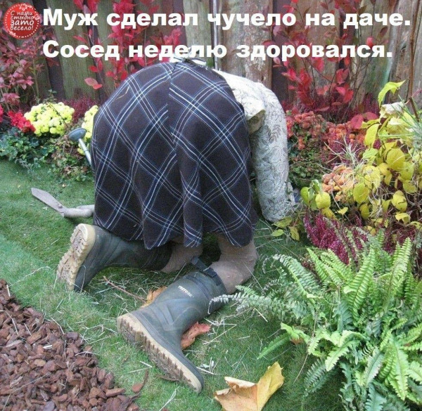 Мем, Антиклептократ Мем, Антиклептократ