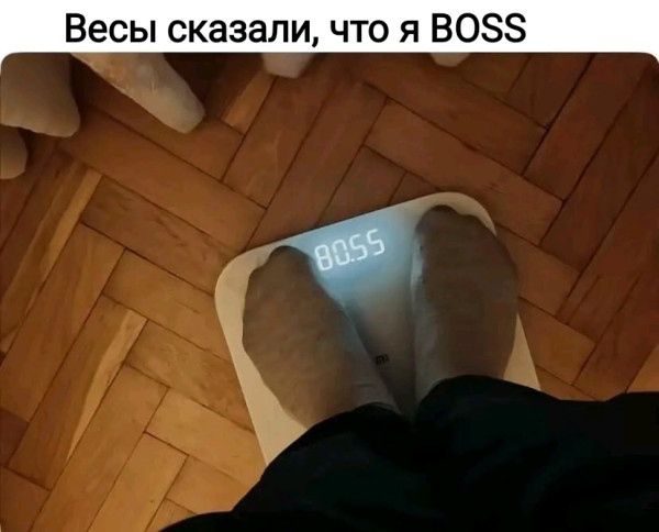 Мем, Рысь Мем, Рысь