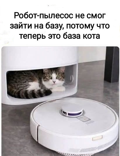 Мем, Рысь Мем, Рысь