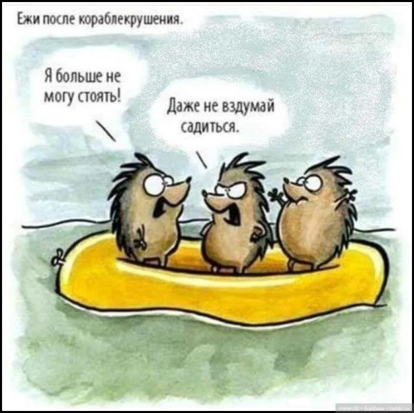 Мем, Miiger Мем, Miiger